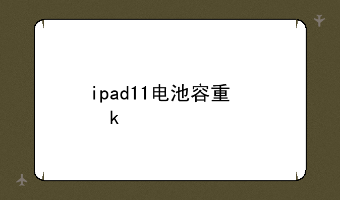 ipad11电池容量多大