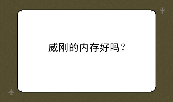 威刚的内存好吗？