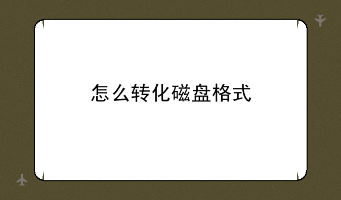 怎么转化磁盘格式