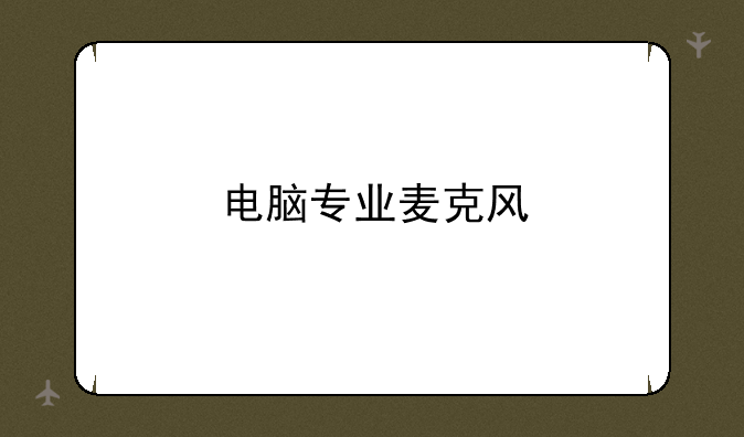 电脑专业麦克风