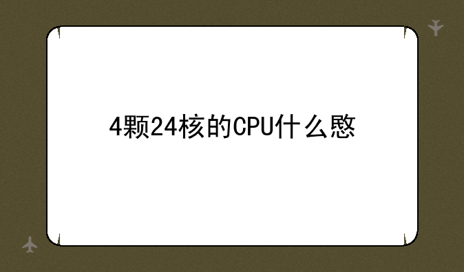 4颗24核的CPU什么意思