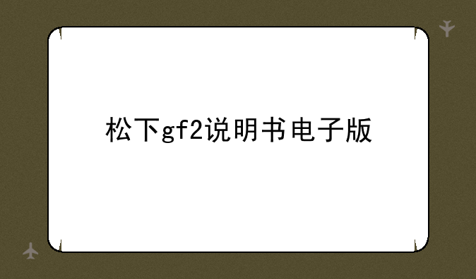 松下gf2说明书电子版