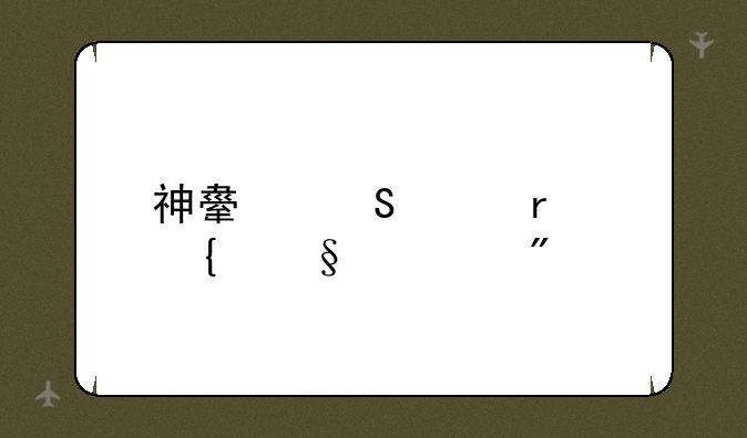 神舟笔记本飞天系列
