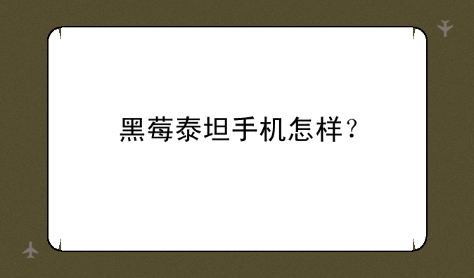 黑莓泰坦手机怎样？