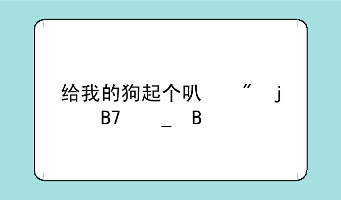 给我的狗起个可爱的名字吧