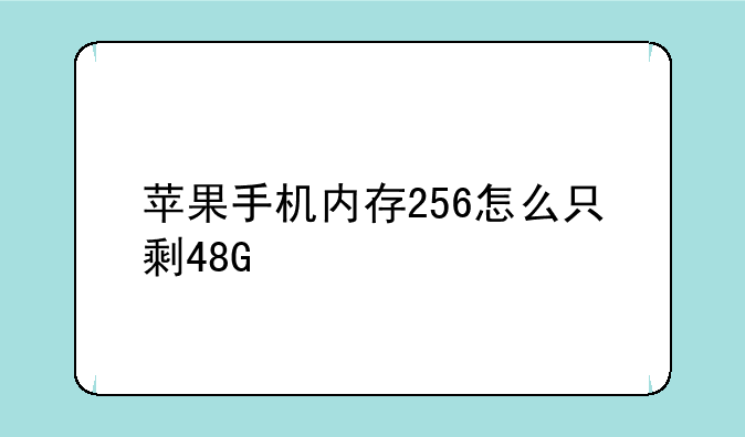 苹果手机内存256怎么只剩48G
