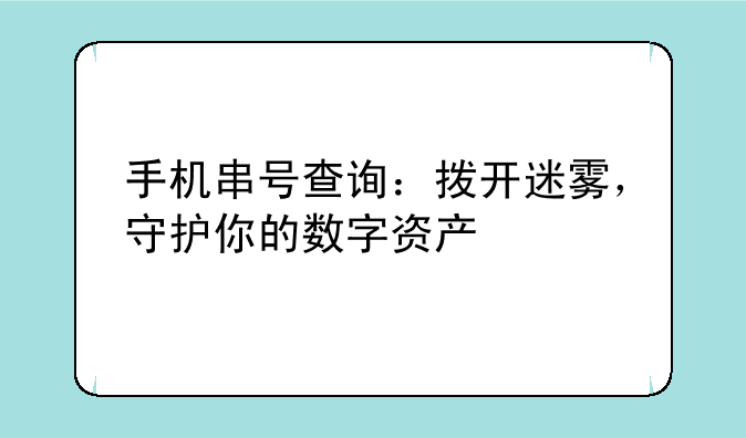 手机串号查询：拨开迷雾，守护你的数字资产