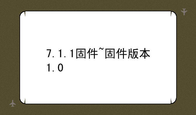 7.1.1固件~固件版本1.0