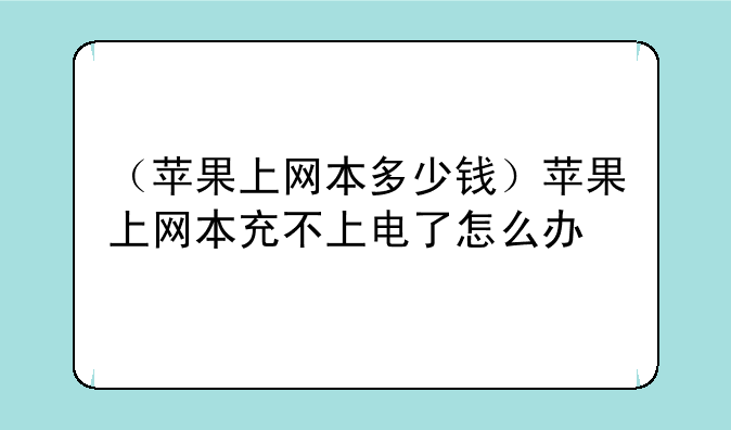 （苹果上网本多少钱）苹果上网本充不上电了怎么办