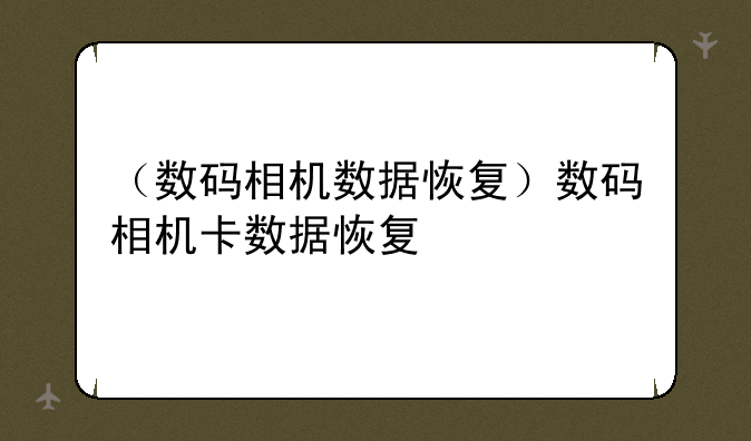（数码相机数据恢复）数码相机卡数据恢复