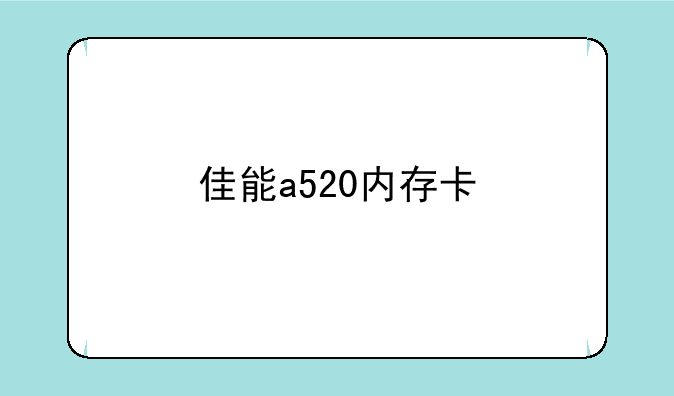 佳能a520内存卡
