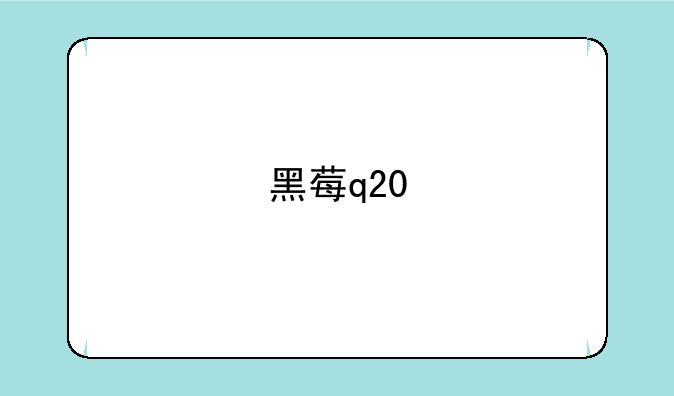 黑莓q20