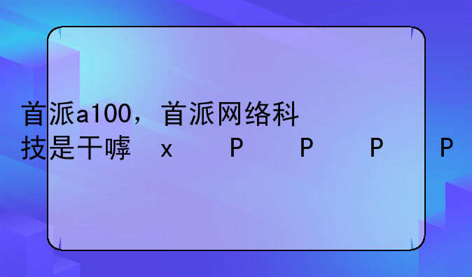 首派a100，首派网络科技是干嘛的