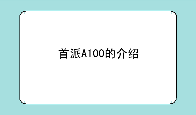 首派A100的介绍