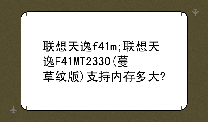 联想天逸f41m;联想天逸F41MT2330(蔓草纹版)支持内存多大?