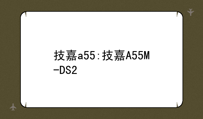 技嘉a55:技嘉A55M-DS2