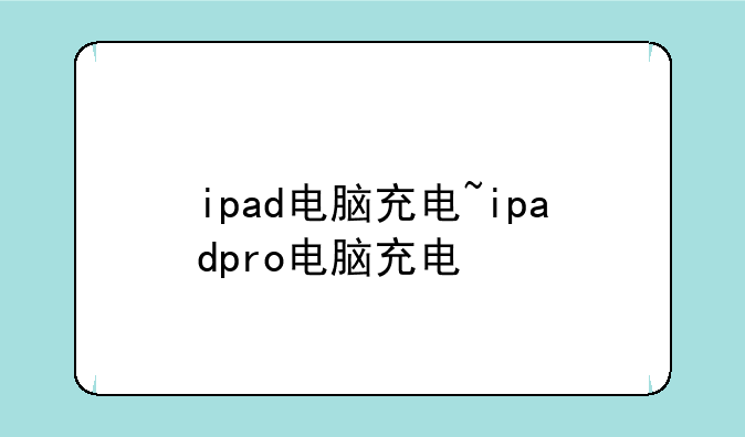ipad电脑充电~ipadpro电脑充电